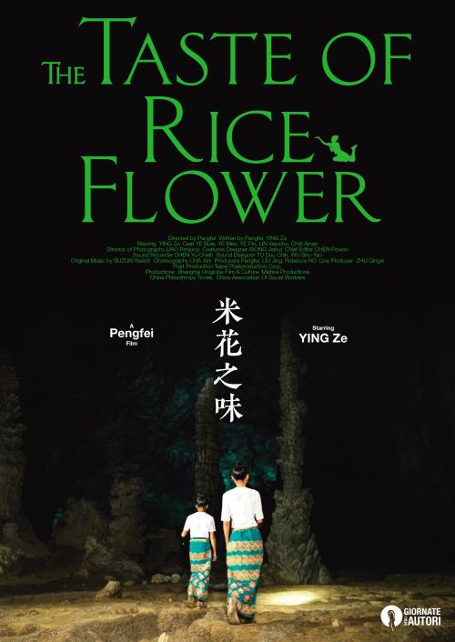 不动产证芯片